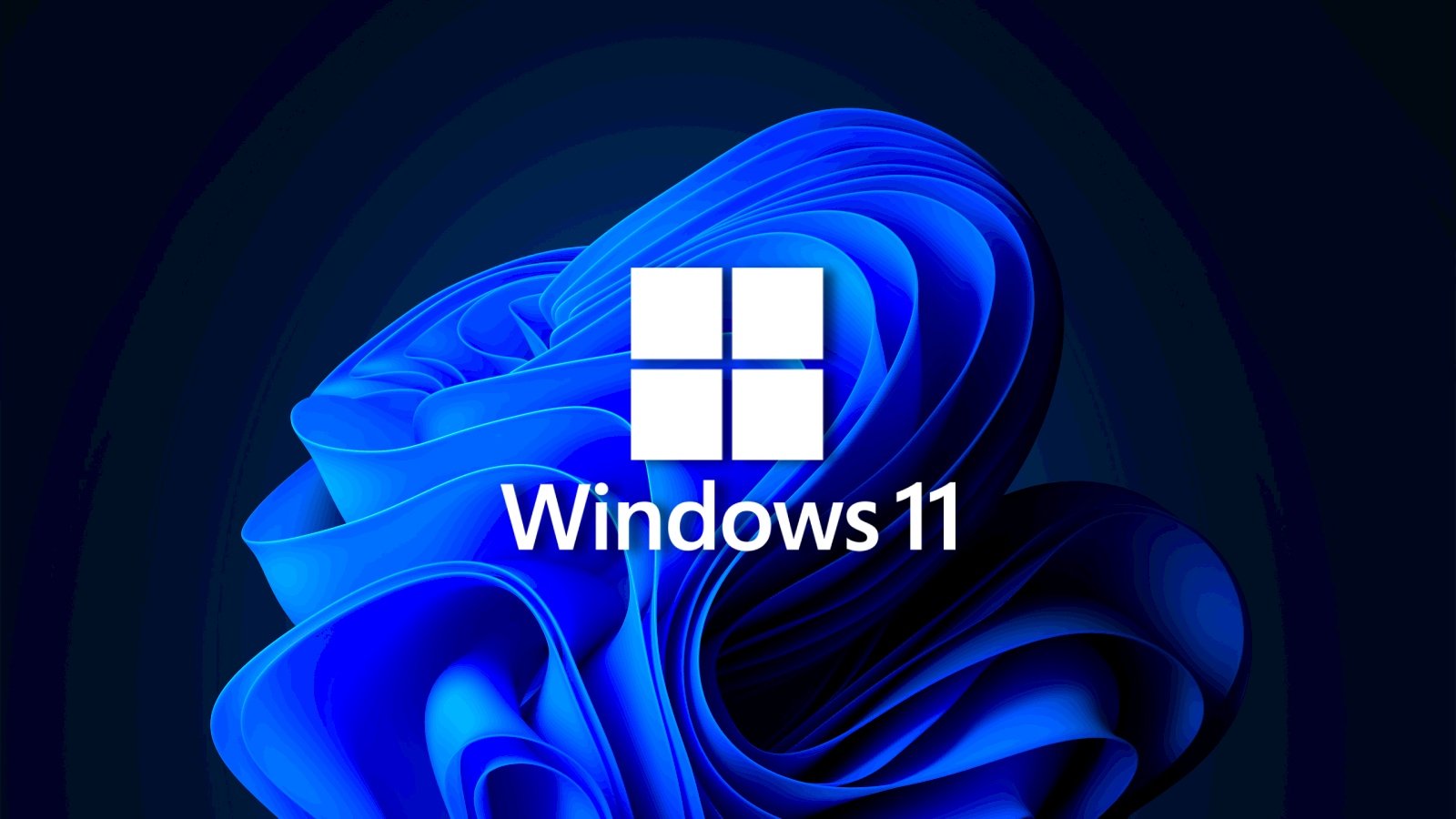 Windows 11