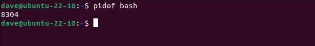 Finding the PID of a bash shell with the pidof command