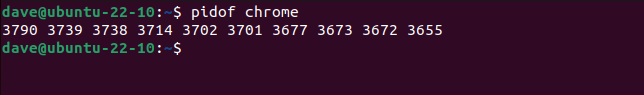 pidof finding many PIDs for a single application with many processes