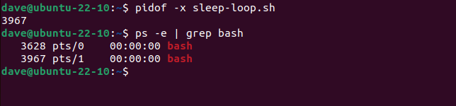 Finding the PID of a bash shell running a shell script