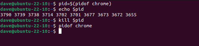 Passing a variable containing many PIDs to the kill command