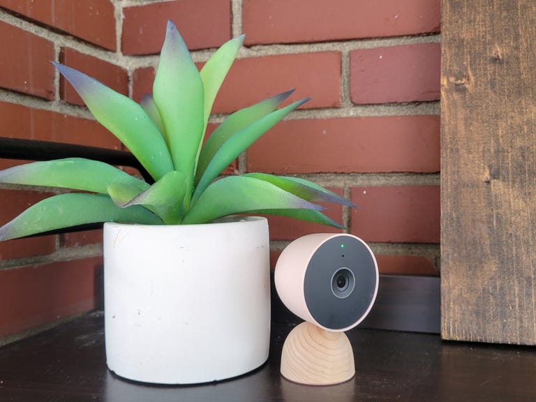 Nest cam kept beside a planter