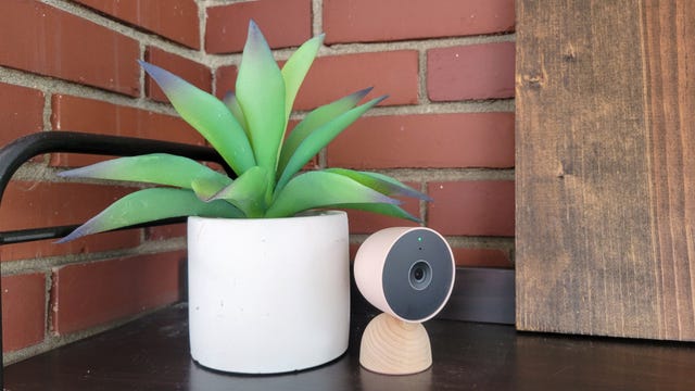 Nest cam kept beside a planter