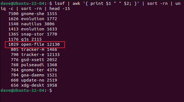 Seeing the processes that use the most file handles