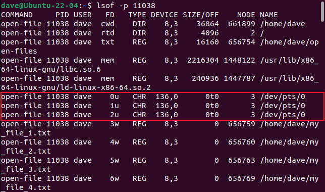 The stdin, stdout, and stderr streams and file handles in the lsof command output