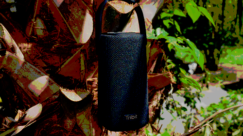 The Tribit Stormbox Pro speaker hanging from a palm tree by its carrying handle.