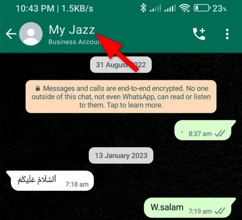 A WhatsApp chat is opened and an individual chat settings are opened