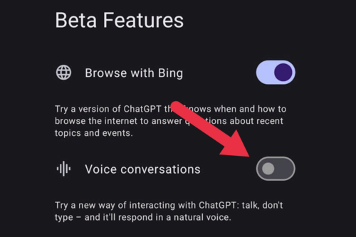 ChatGPT Voice Conversations Toggle