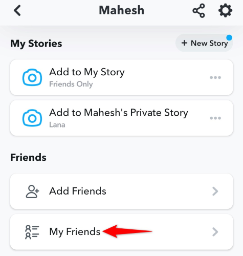 The My Friends option in Snapchat.
