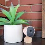 Nest cam kept beside a planter