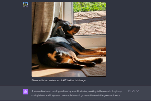 Chat GPT Makes ALT Text from a submitted photo