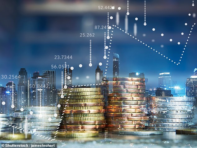 Common sense: To avoid potentially risky concentration, funds cannot have more than 10 per cent of their portfolio invested in a single company