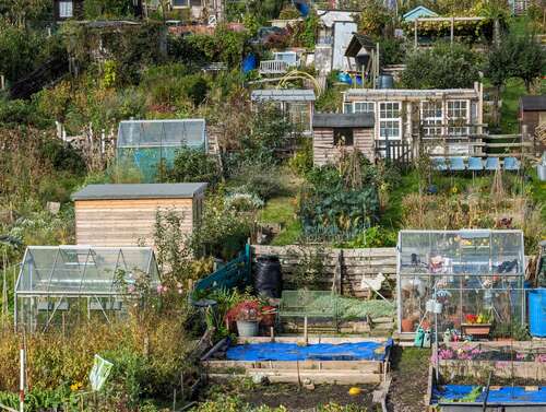 allotments-5x-pixel-8-pro