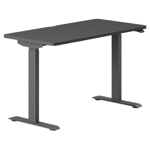 Branch Duo Standing Desk in grey