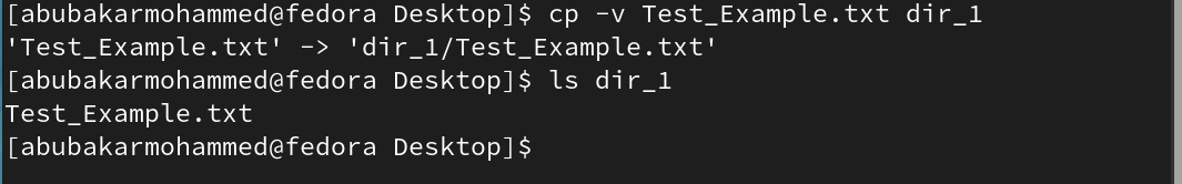 cp with verbose output