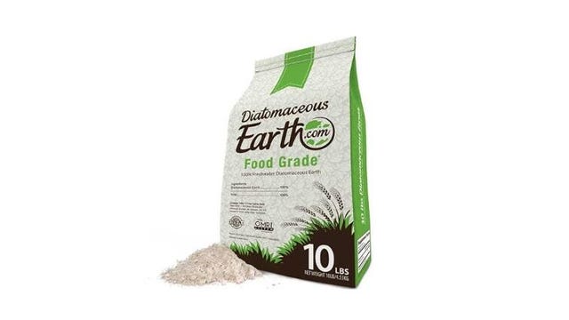 diatomaceous earth