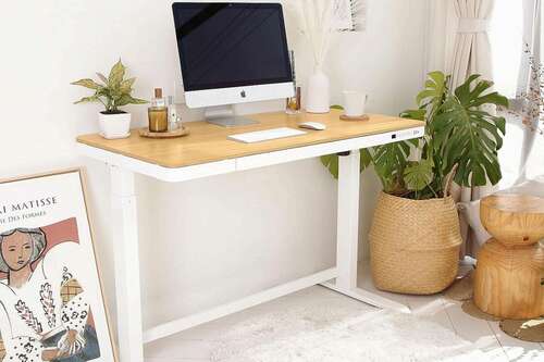 FlexiSpot Comhar Pro Standing Desk (Q8) decorated with plants near wicker baskets