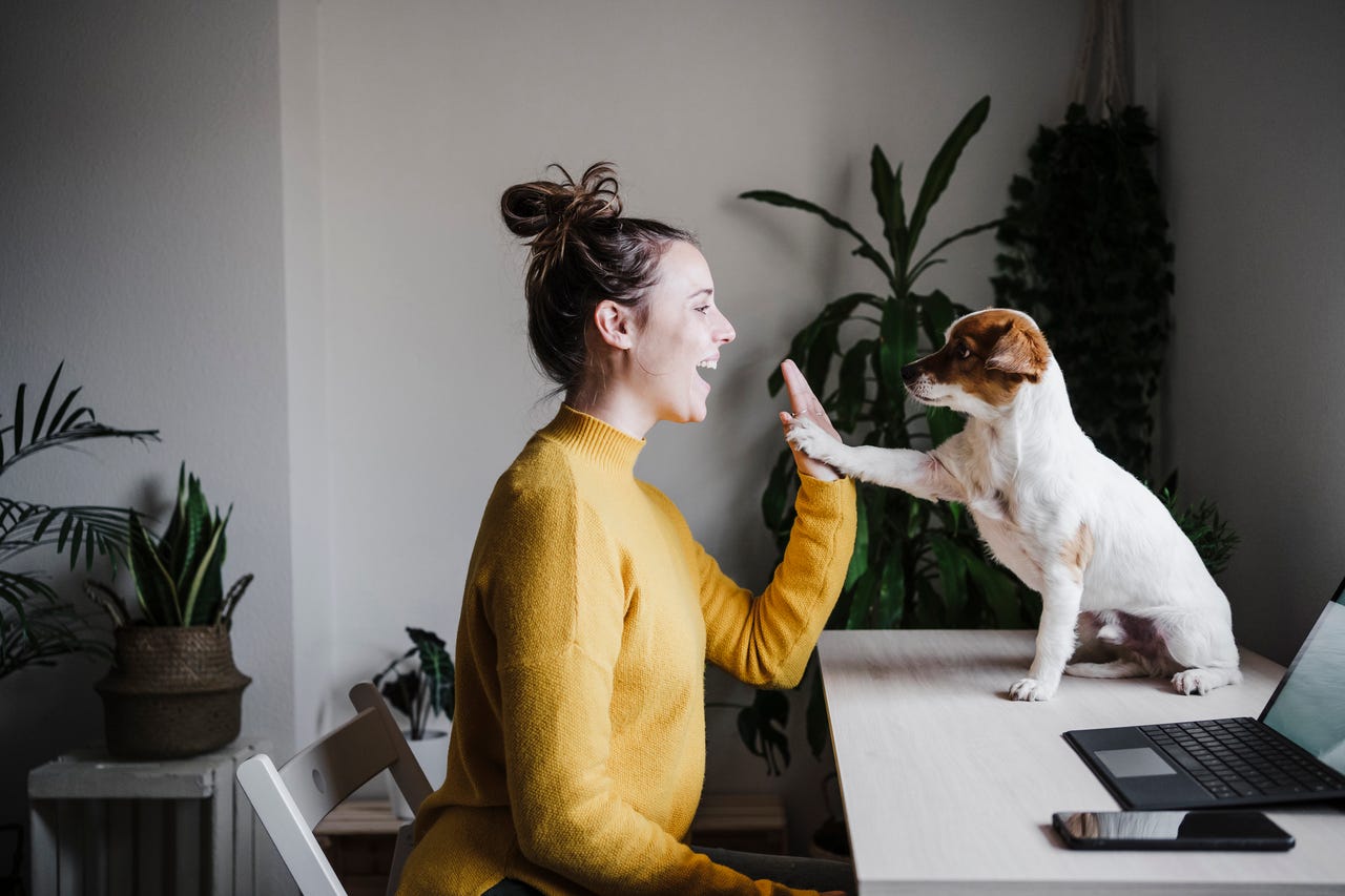 woman high-fiving her dog