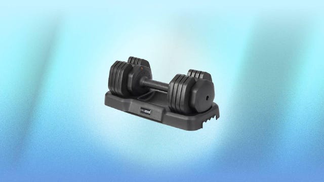 holahatha-single-55-pound-dumbbell