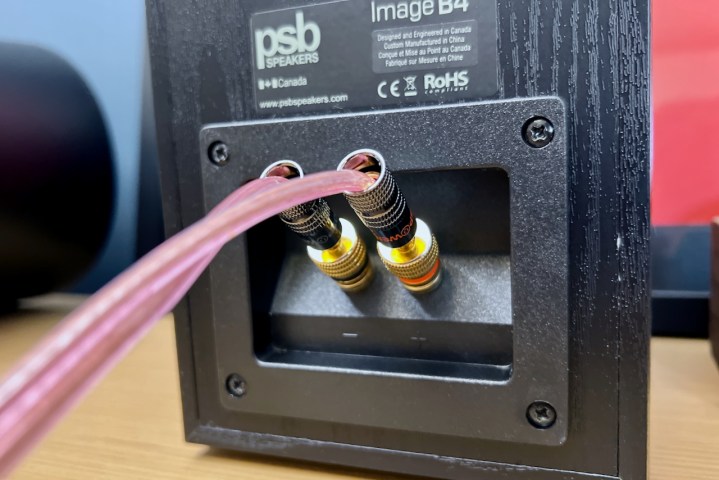 A set of banana plugs plugged in to a speaker.