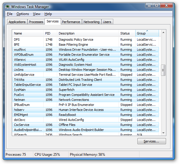 The Windows 7 Task Manager with all of the services running under 