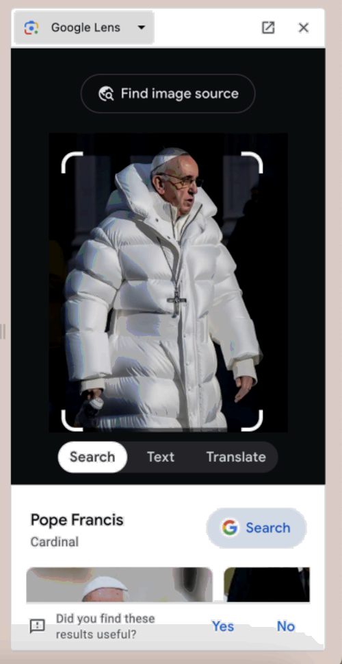 The Google image search tool highlighting the image of the Pope.