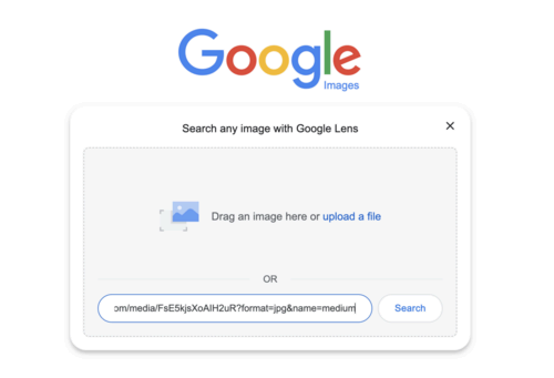 A screenshot of images.google showing a link pasted into the photo upload section.