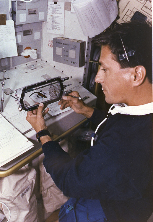 Astronaut conducting newt experiment