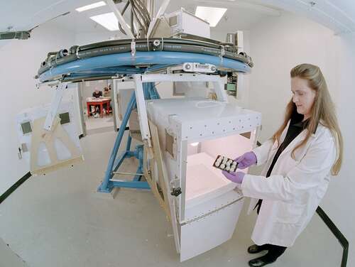 Researcher using centrifuge on quail eggs