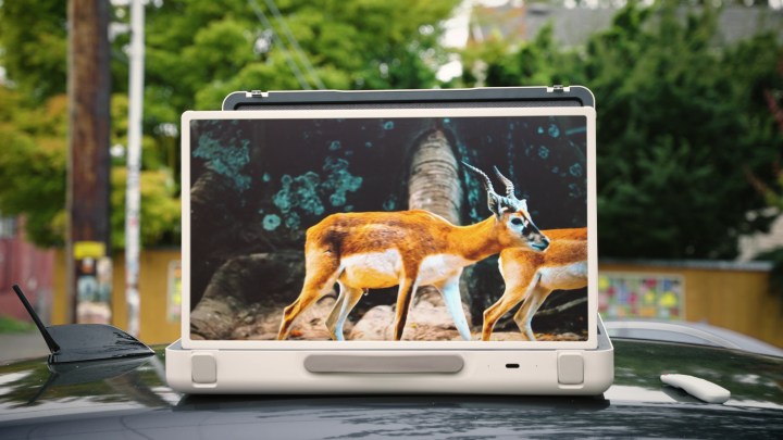 Two deer in the forest displayed on an LG StanbyMe Go monitor resting on the hood of a car. 