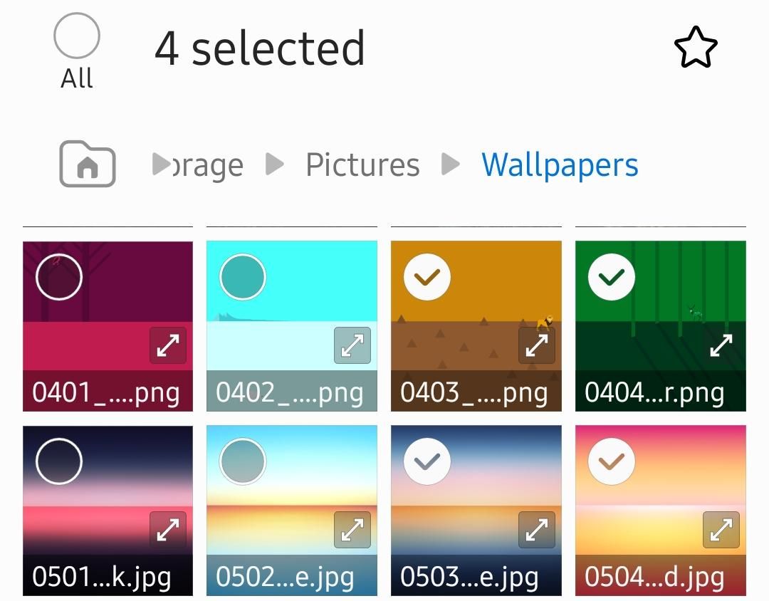 Samsung Galaxy Android File Manager My Files Selected