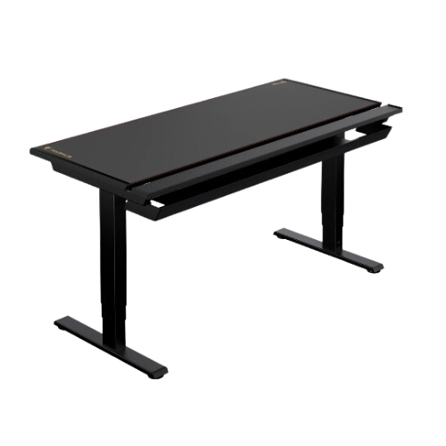 Secretlab Magnus Pro Standing Desk with cable management