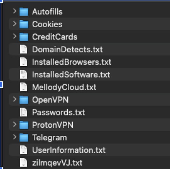 Contents of a stealer log