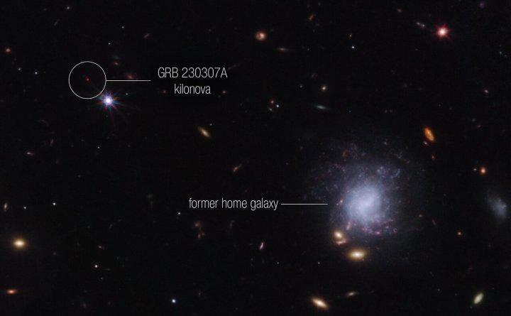 A team of scientists has used the NASA/ESA/CSA James Webb Space Telescope to observe an exceptionally bright gamma-ray burst, GRB 230307A, and its associated kilonova. Kilonovas—an explosion produced by a neutron star merging with either a black hole or with another neutron star—are extremely rare, making it difficult to observe these events. The highly sensitive infrared capabilities of Webb helped scientists identify the home address of the two neutron stars that created the kilonova. This image from Webb’s NIRCam (Near-Infrared Camera) instrument highlights GRB 230307A’s kilonova and its former home galaxy among their local environment of other galaxies and foreground stars. The neutron stars were kicked out of their home galaxy and travelled the distance of about 120,000 light-years, approximately the diameter of the Milky Way galaxy, before finally merging several hundred million years later.