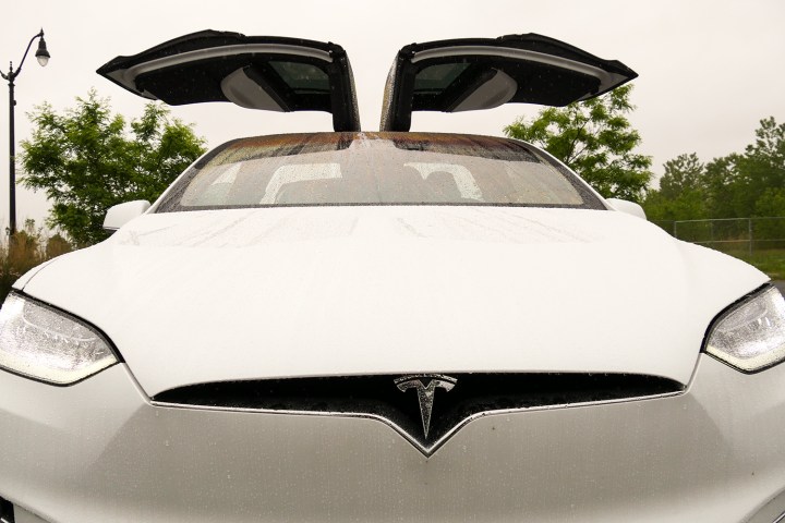 Model X Gull Wing Doors