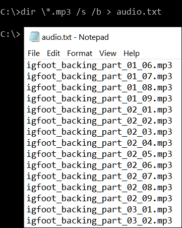 Add "> audio.txt" to output the results to a text file named "Audio."