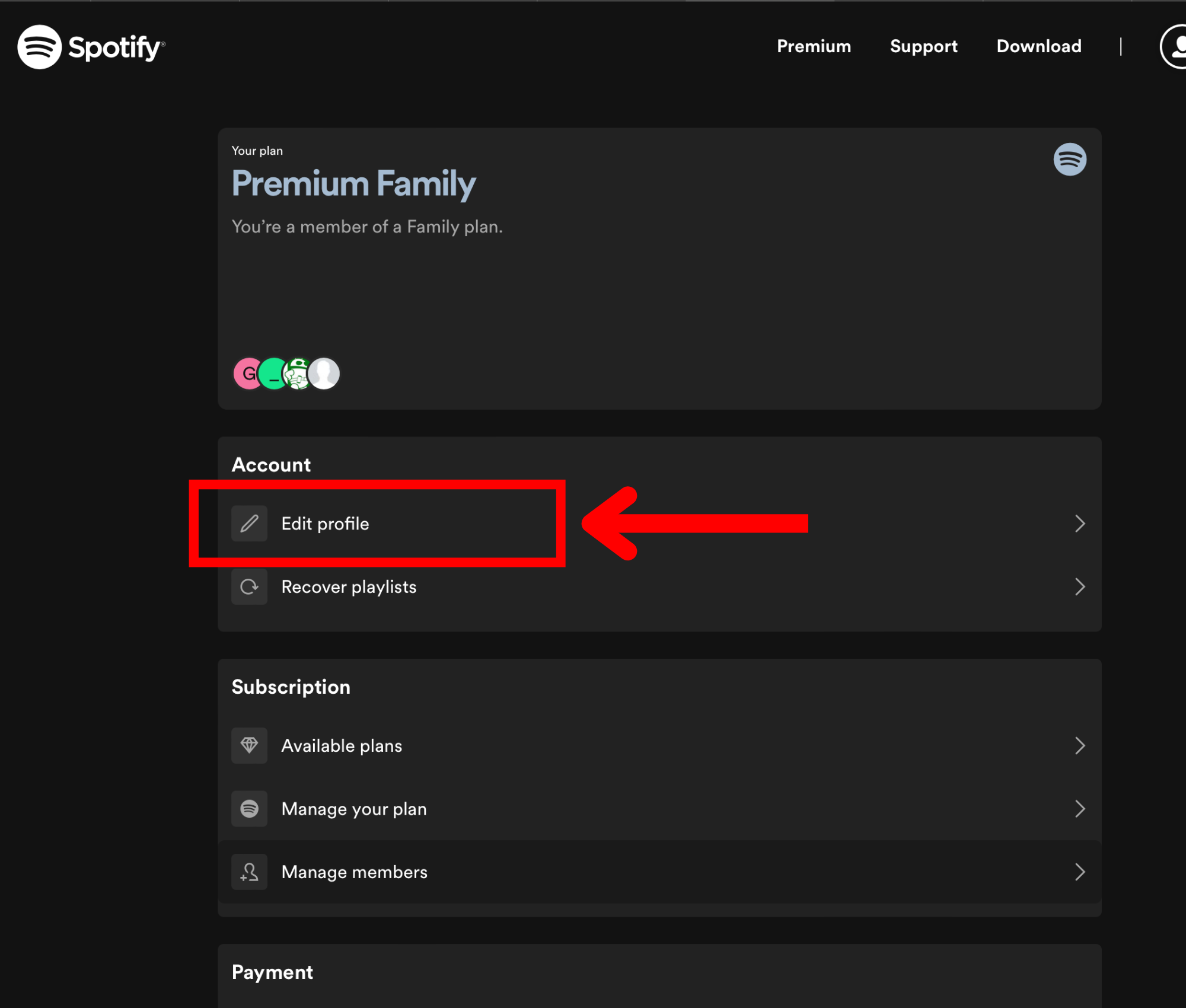 Desktop spotify view account edit profile