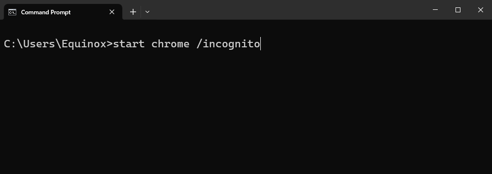 Start Google Chrome with the /incognito flag. 