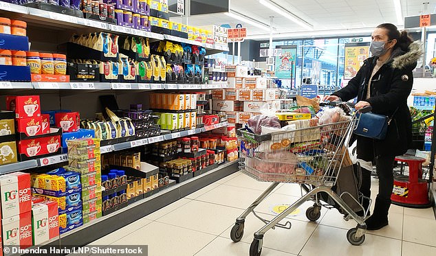 A shopper filling up their trolley at a Lidl supermarket in North London in January 2021