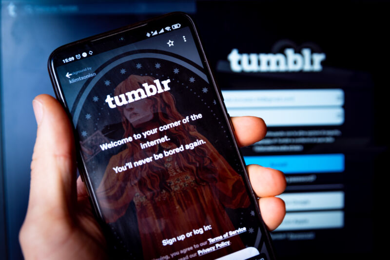 Tumblr app open on an Android phone