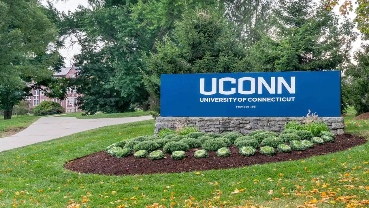 University-of-Connecticut