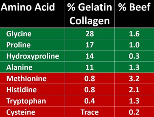 amino acid