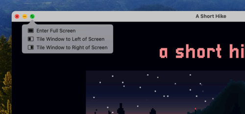 Option to 'Enter Full Screen' mode using the window button in macOS.