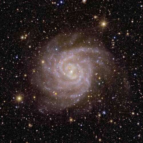 One of the first galaxies that Euclid observed is nicknamed the 