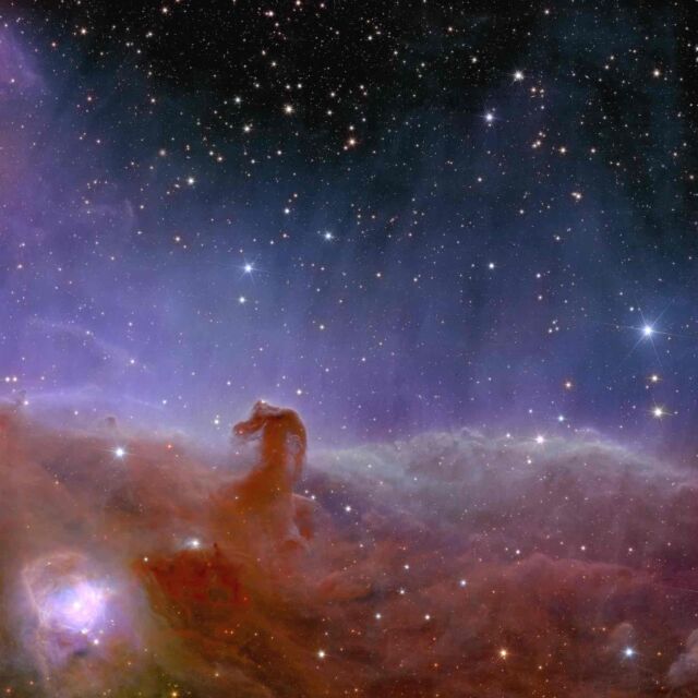 Euclid shows us a spectacularly panoramic and detailed view of the Horsehead Nebula, also known as Barnard 33 and part of the constellation Orion.