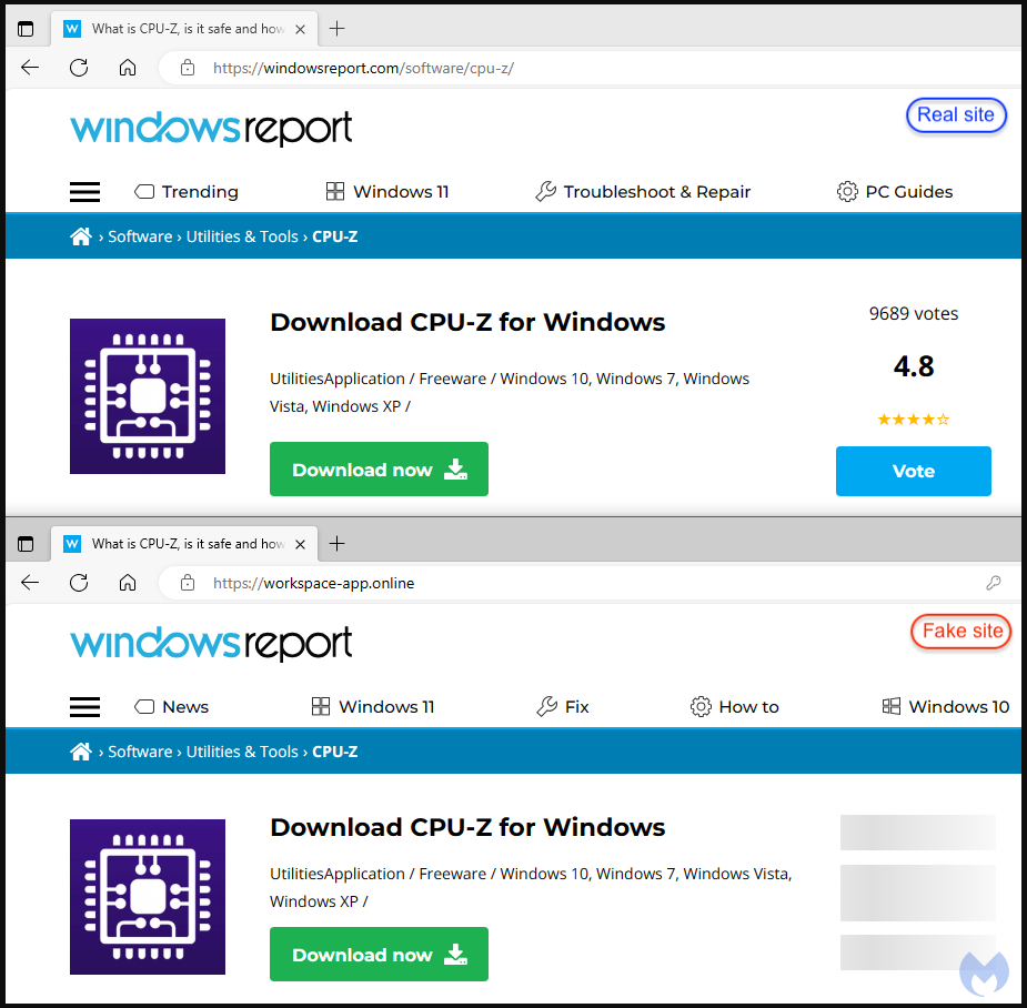 Comparison between the real and the fake site