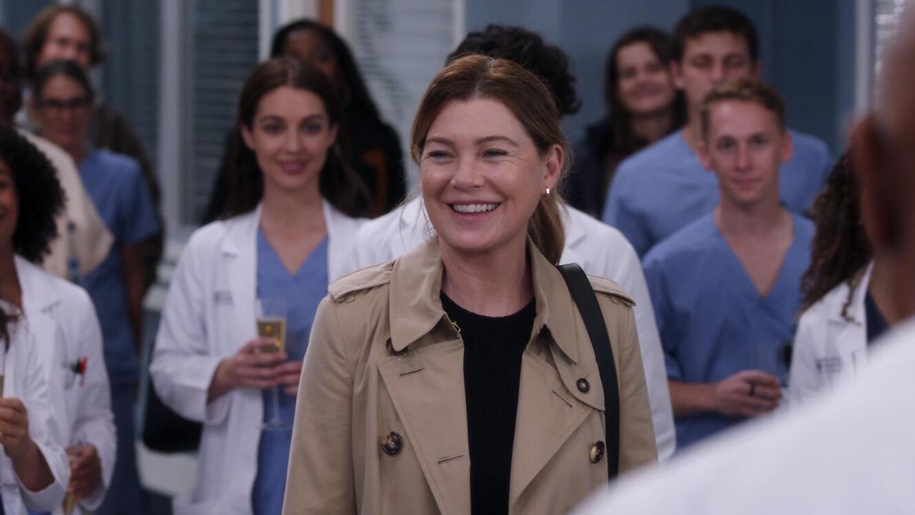 grey's anatomy (1)