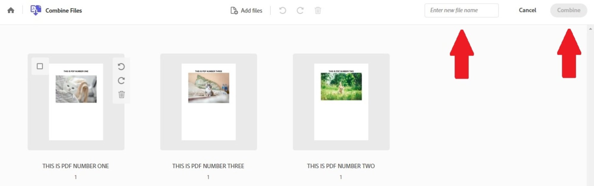 The "Combine Files" page in Adobe Acrobat with the "Enter new file name" field and the "Combine" button highlighted. 