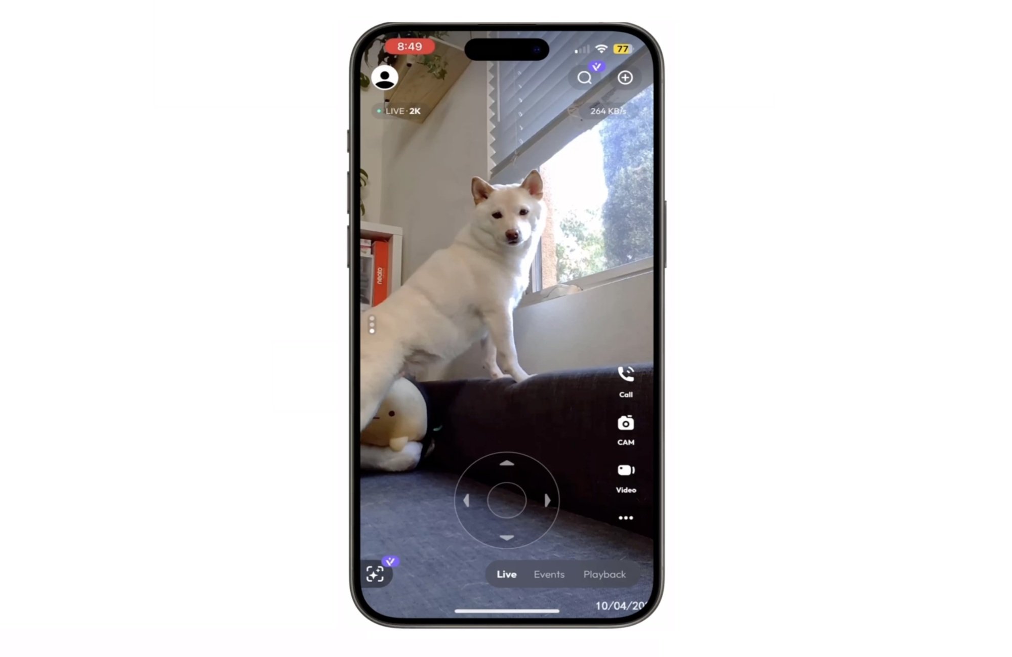 A dog captured in the Psync app