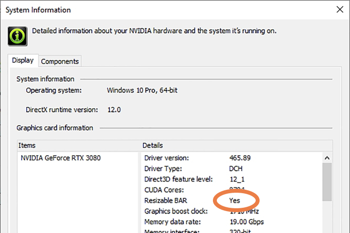 Nvidia Control Panel options.